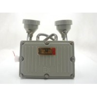 防爆應(yīng)急燈