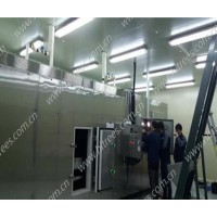 隧道式速凍機(jī)