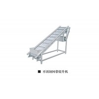 不銹鋼網(wǎng)帶提升機(jī)