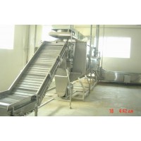 果蔬速凍生產(chǎn)線