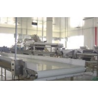 皮帶輸送機(jī)