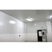 凈化房實(shí)例