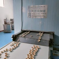 500kg蛋撻皮速凍機(jī)