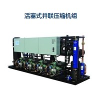 活塞式并聯壓縮機組
