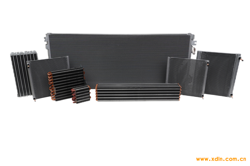 微信圖片_20240703164636(1)