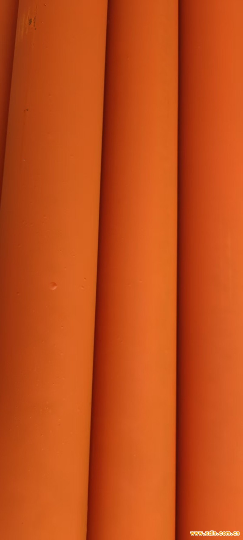 微信圖片_20250226085024