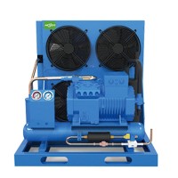 半封閉活塞壓縮機(jī)風(fēng)冷冷凝機(jī)組