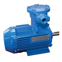 YBX5系列隔爆兼粉塵防爆高效率三相異步電動(dòng)機(jī)